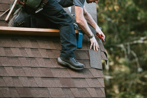 Best Roof Gutter Cleaning  in Fkville, AL